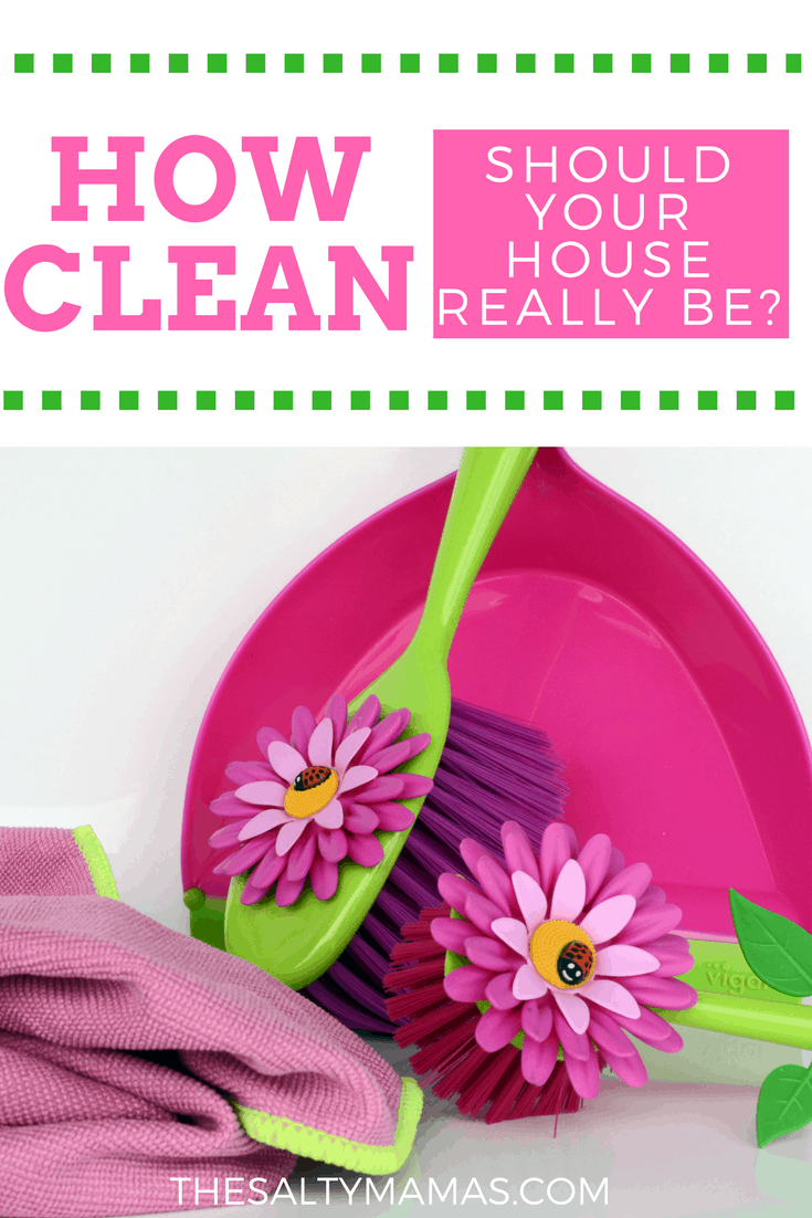 Hint: Not as clean as you might think. Unless your mother-in-law is coming, that is. Read our funny take on cleaning tips, from thesaltymamas.com.
