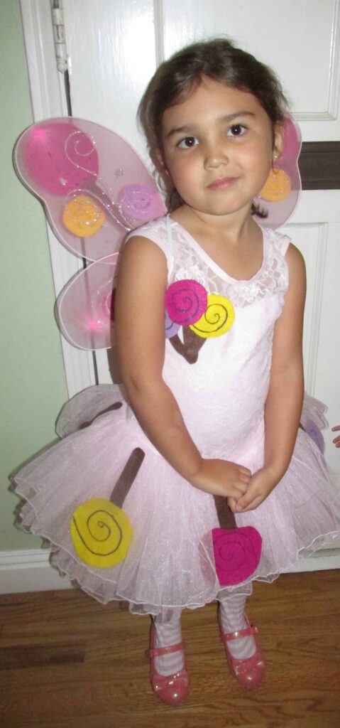 DIY Candyland Fairy Costume – The Salty Mamas