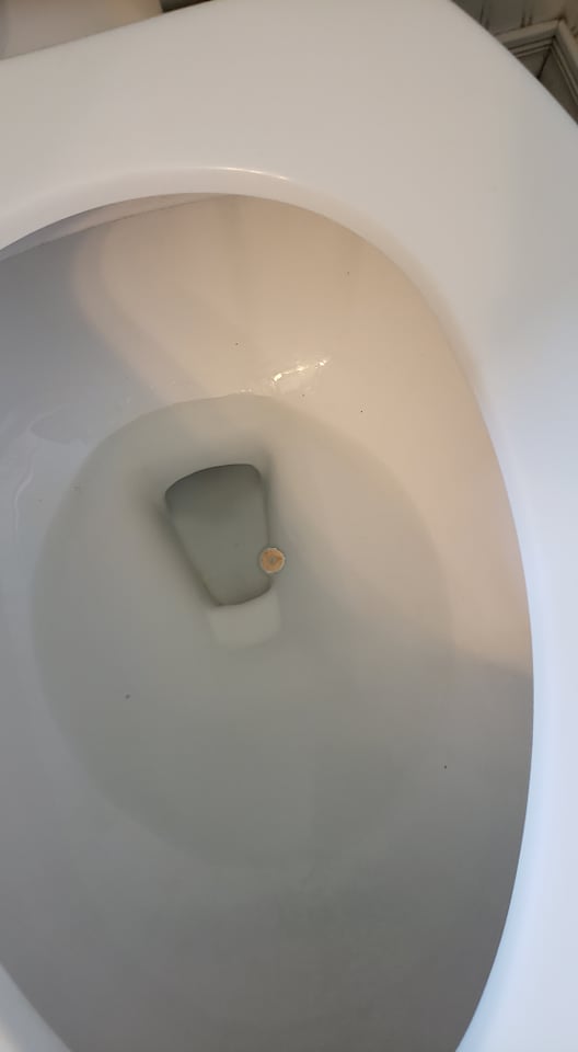 a cheerio in the toilet