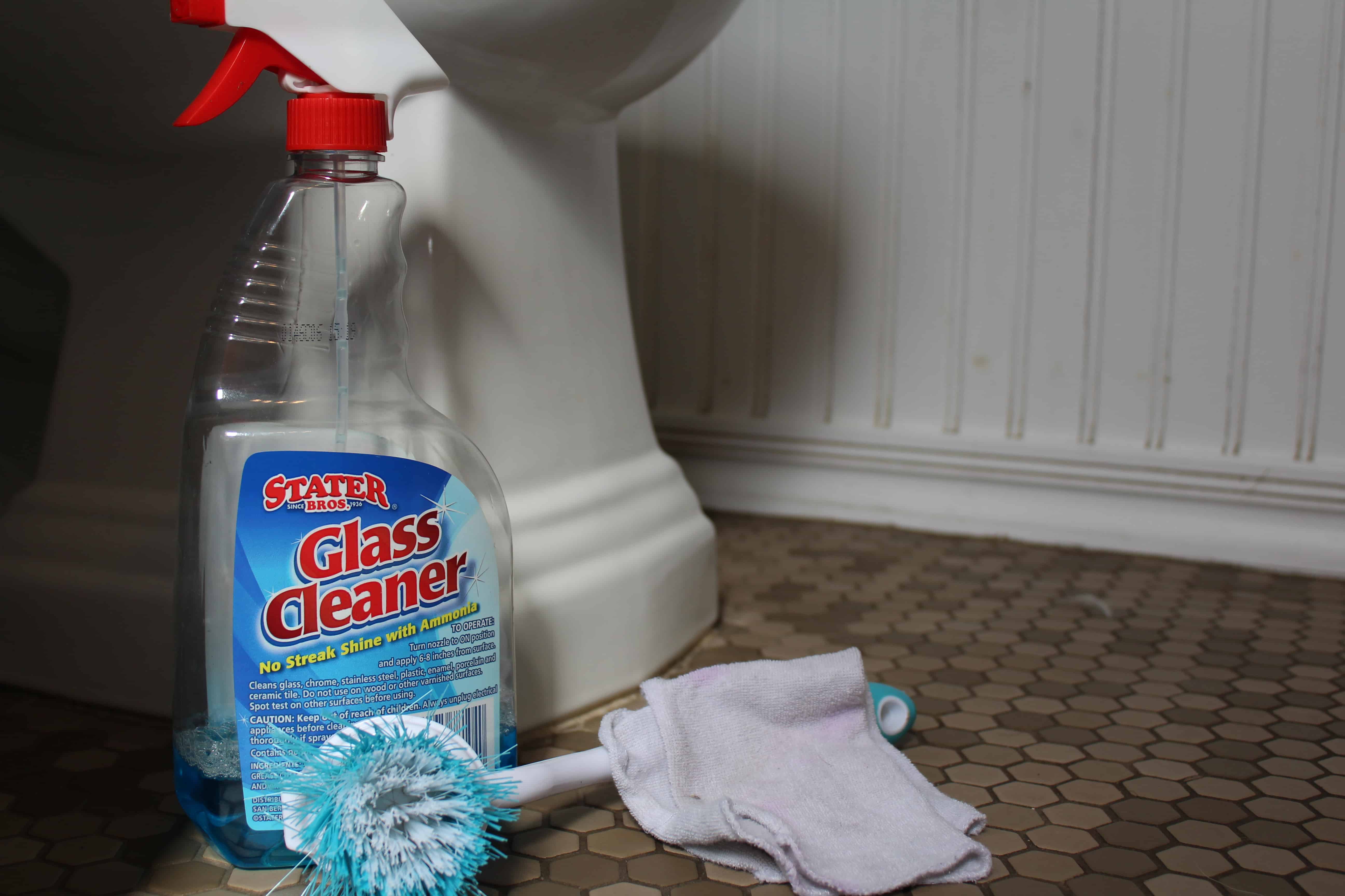 A spray bottle of glass cleaner, a toilet brush with cleaning rags next to a very clean toilet
