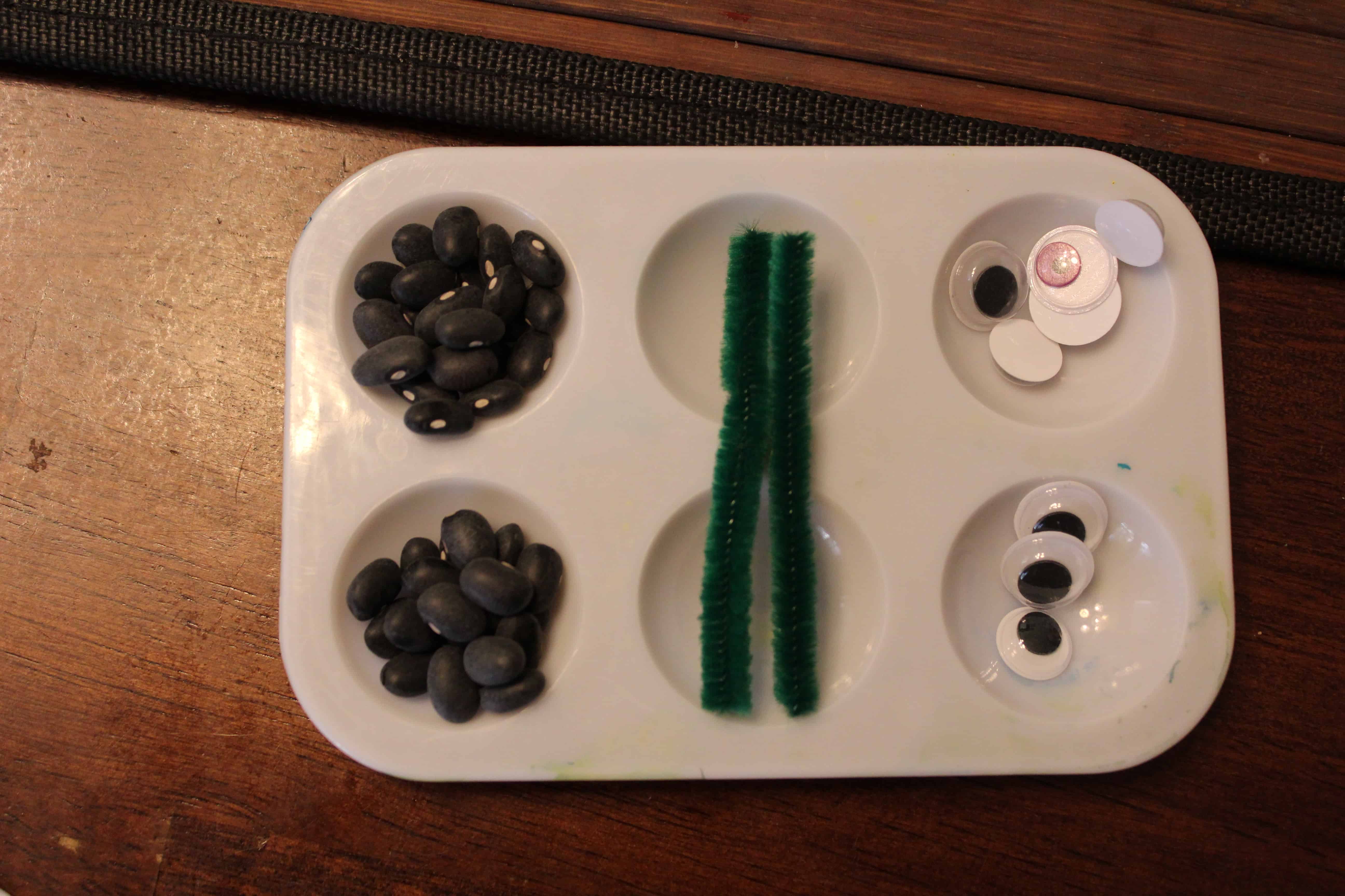 A tiny pallette filled with black beans, googly eyes and green chenille pipe.