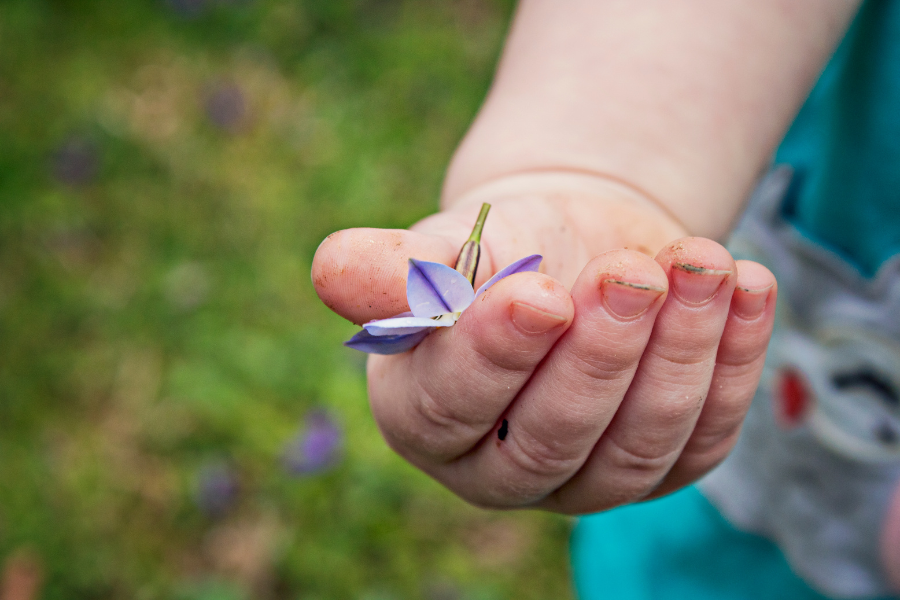 toddler with hand full of flowers