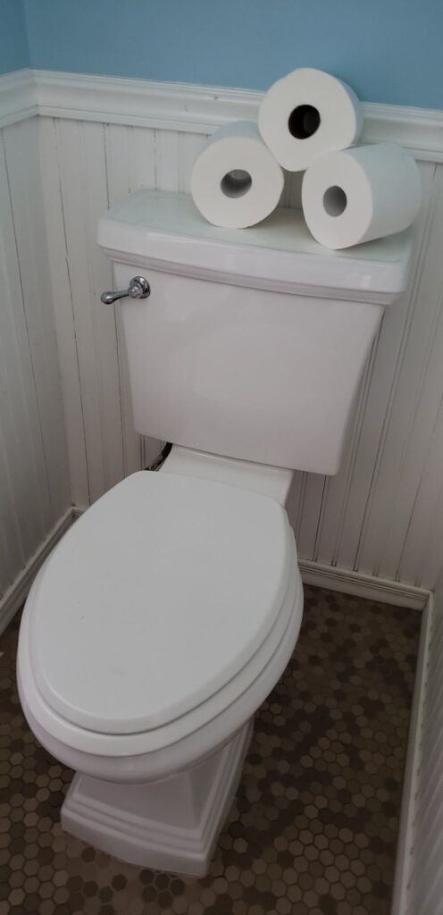 a toilet