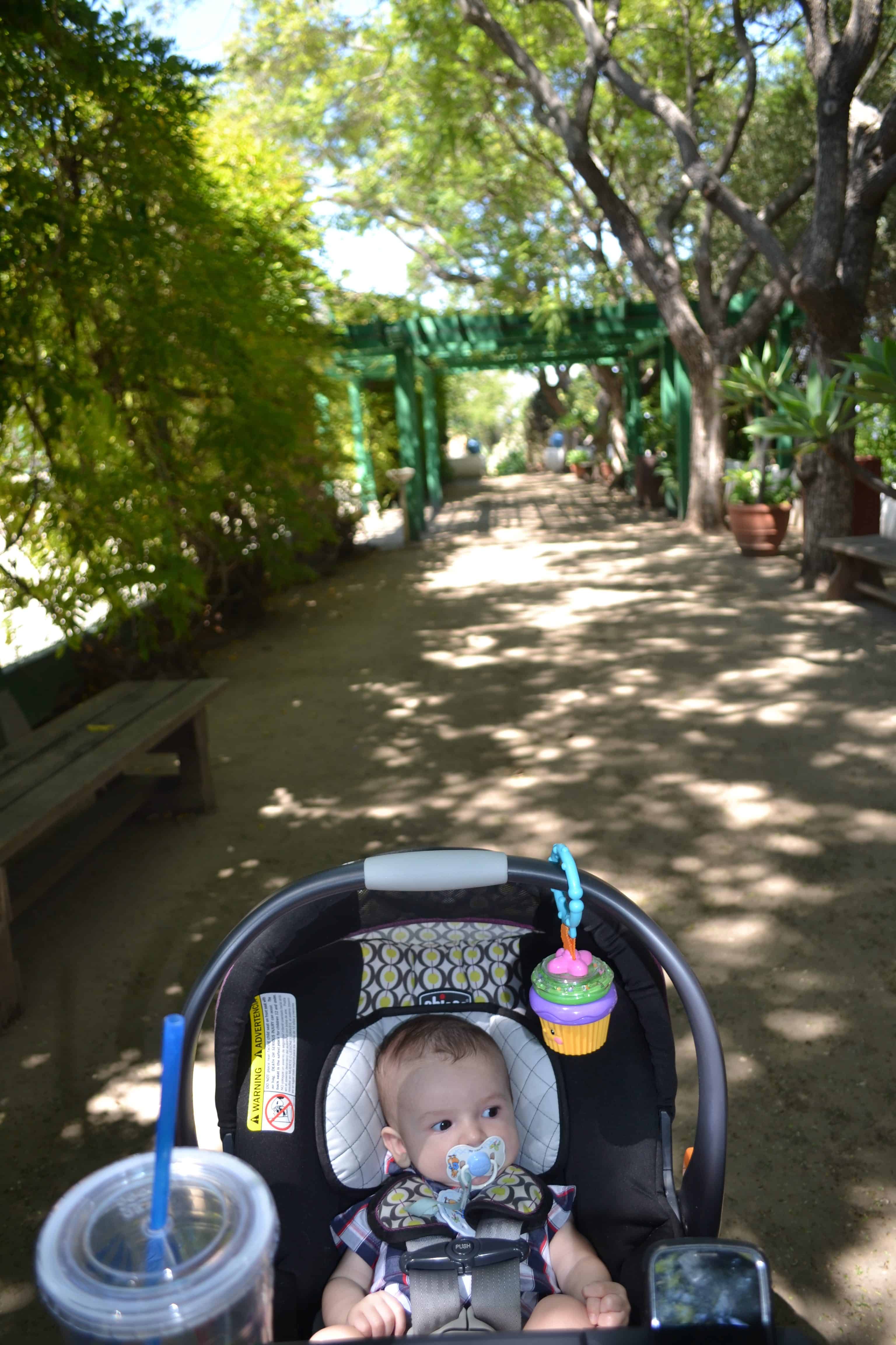 Baby walking in a forested area in a stroller.