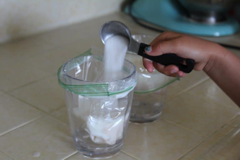 STEM in Action: Homemade Ice Cream in a Bag for Kids – The Salty Mamas