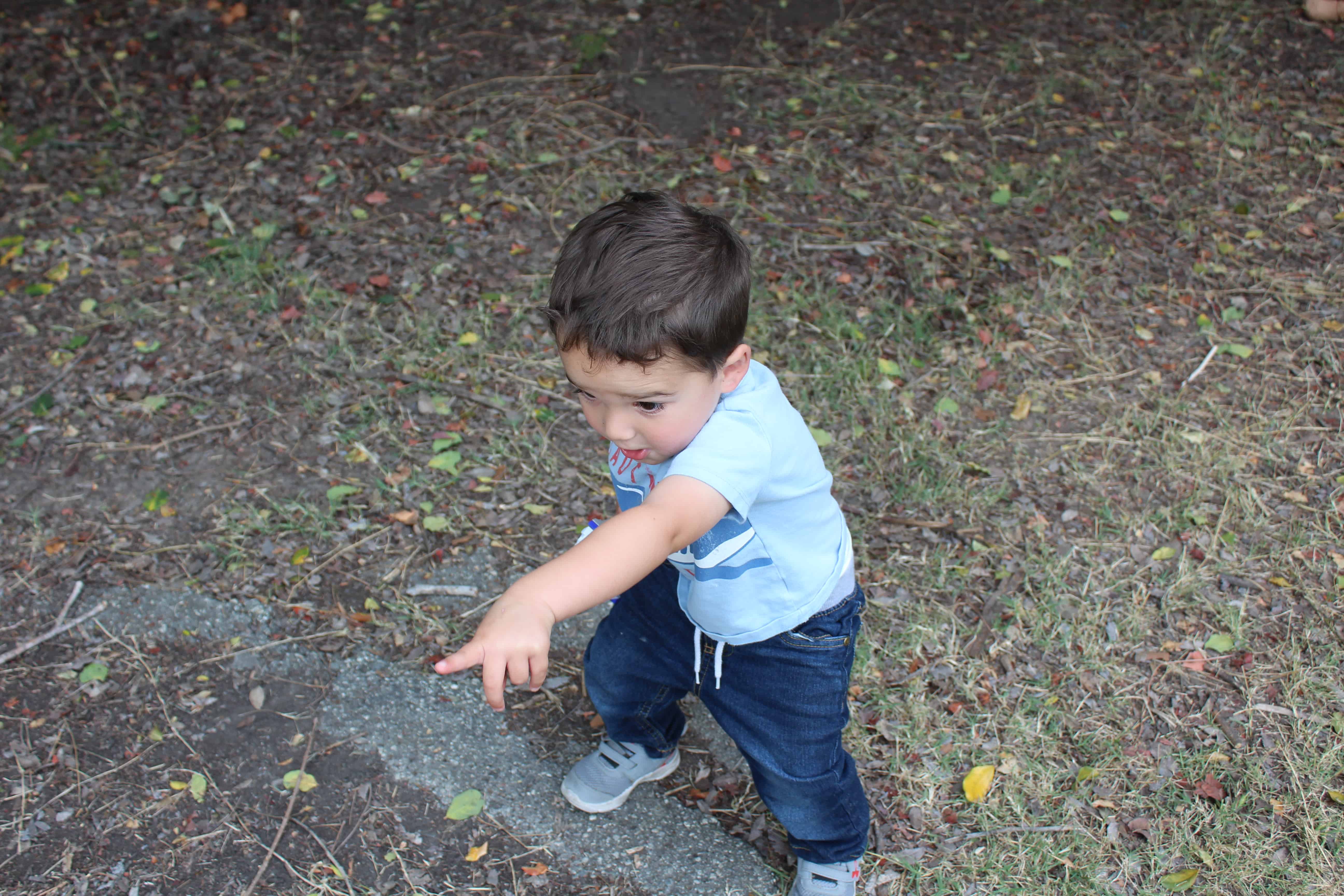 preschool boy exploring in the woods, pointing at somehing he sees