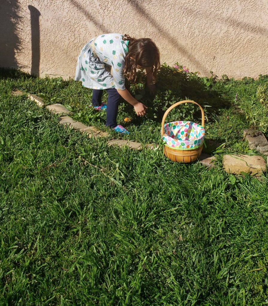 preschooler looking for rainbow rocks