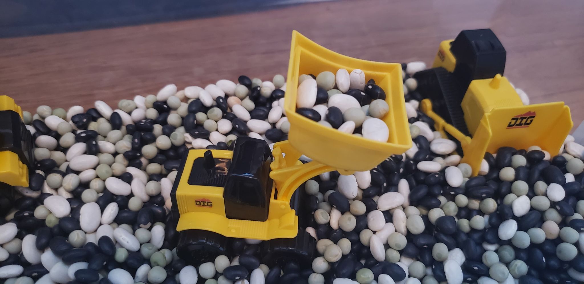 mini bulldozer lifting dry beans