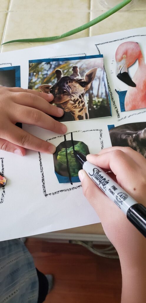 toddler drawing lines over zoo animal cut outs