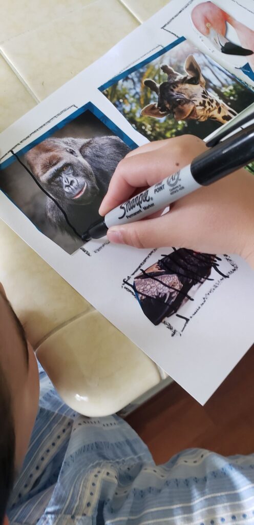 preschooler drawing sharpie lines over zoo animals