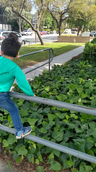 toddler climbing on a railing