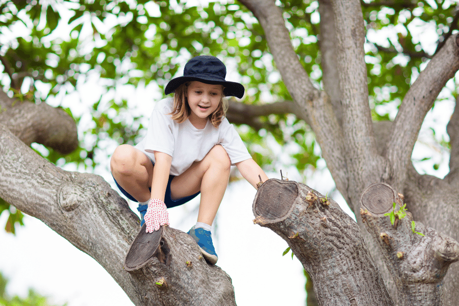 kid climbing a tree